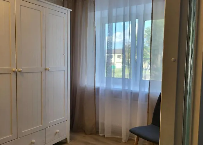The Entire Comfortable Apartment