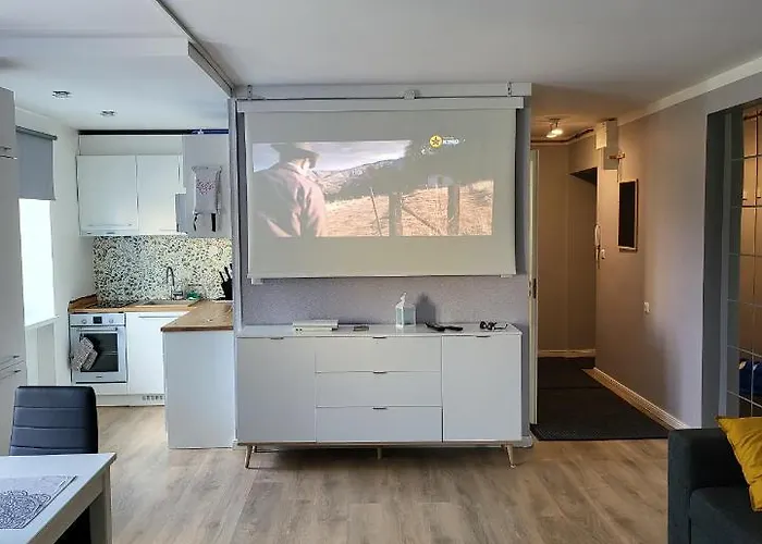 The Entire Comfortable Apartment